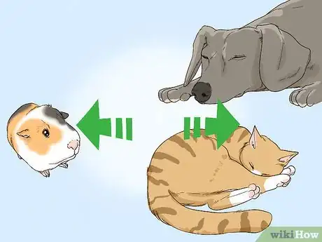 Image titled Avoid Scaring Your Guinea Pig Step 11