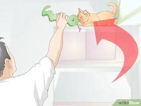 Image titled Stop a Cat from Licking Stuffed Animals and Blankets Step 10