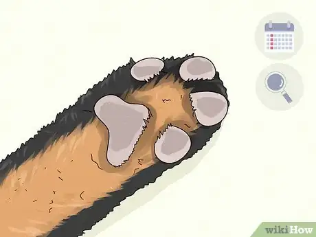 Image titled Wash a Dog's Paws Step 9