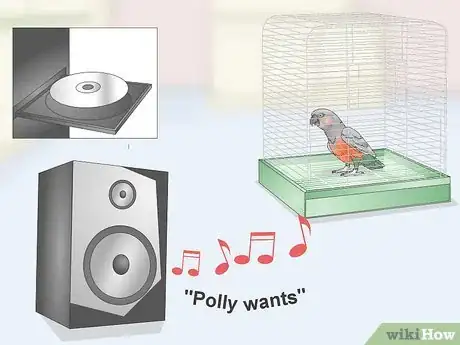 Image titled Teach a Red Bellied Parrot to Speak Step 9
