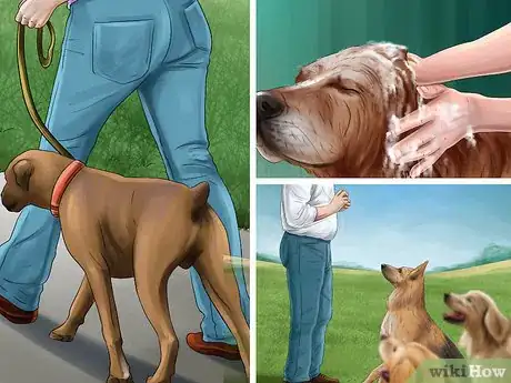 Image titled Help Shelter Dogs Step 2