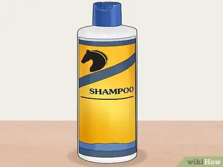 Image titled Groom a Miniature Horse for Show Step 1