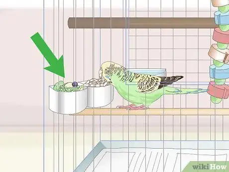 Image titled Own a Parakeet Step 10