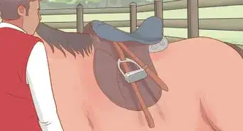 Put on an English Saddle Properly