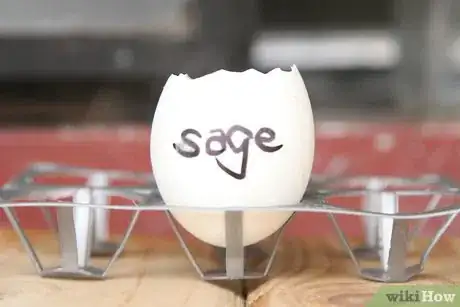 Image titled Recycle Eggshells in Gardening Activities Step 1Bullet6