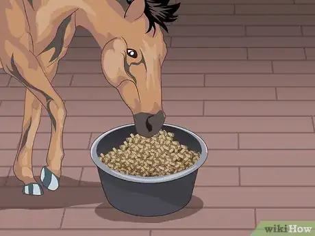 Image titled Prevent Heaves in Horses Step 4