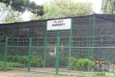 Image titled Cure Winter Squash Step 6