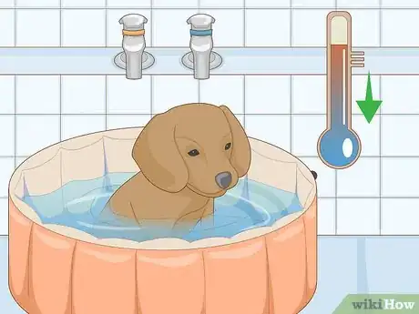 Image titled Keep a Dog Cool in Hot Weather Step 12