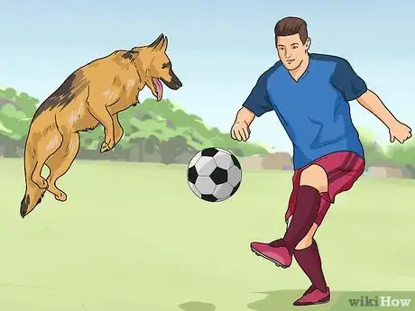 Image titled Keep Your Dog from Being Bored Step 1