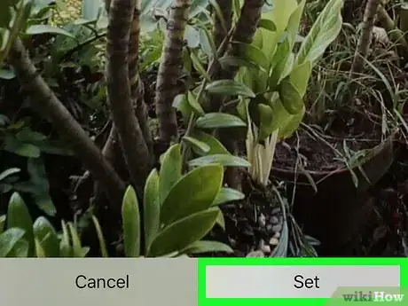 Image titled Set a Wallpaper on Google Photos on iPhone or iPad Step 11