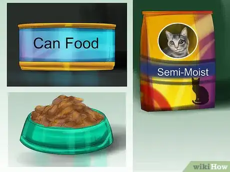 Image titled Take Care of a Li Hua Cat Step 7