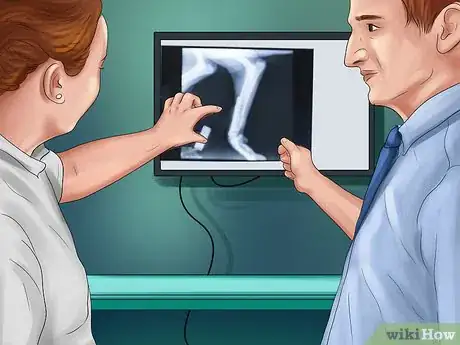 Image titled Know when to Find a New Vet Step 5