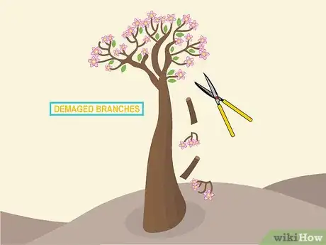 Image titled Prune Desert Rose Step 10