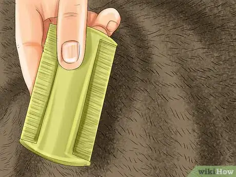 Image titled Take Care of a Li Hua Cat Step 4