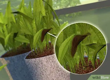 Image titled Maintain a Greenhouse Step 10