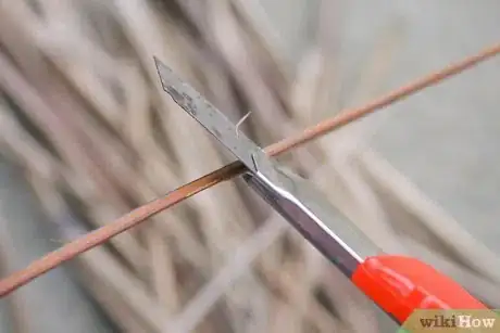 Image titled Make a Broom Using a Coconut Leaf Step 6
