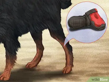 Image titled Care for Your Dog on the Beach Step 9