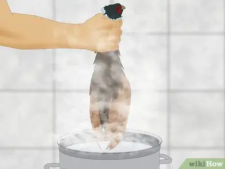 Image titled Pluck a Pheasant Step 14