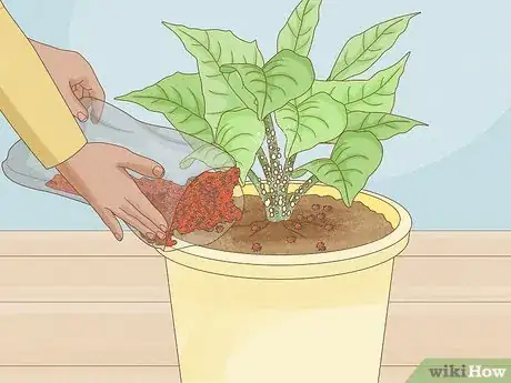 Image titled Control Scale Insects on Indoor Plants Step 6