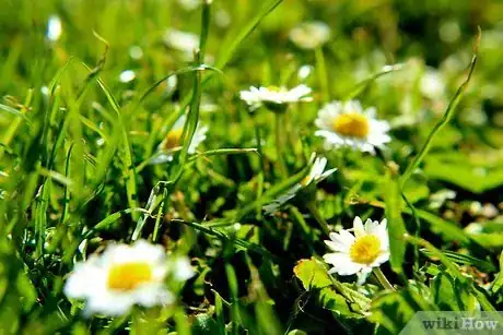 Image titled Turn Stress Into Success Step 2