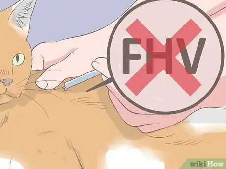 Image titled Diagnose Keratitis in Cats Step 11