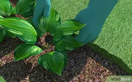 Image titled Start a Flower Garden Step 7