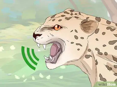Image titled Tell a Cheetah and Leopard Apart Step 13