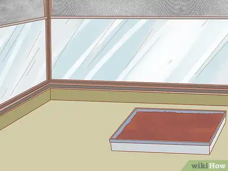 Image titled Grow Biennials Successfully Step 2