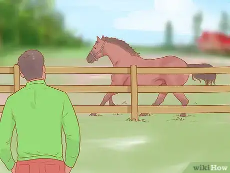 Image titled Handle and Control a Stallion Step 14