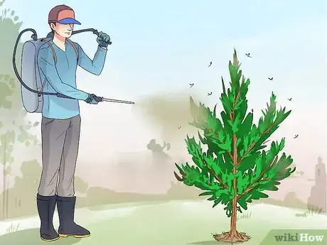 Image titled Plant Cedar Trees Step 17