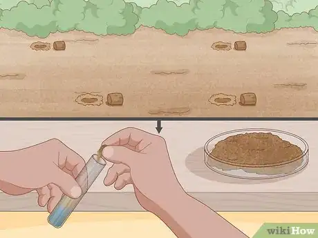 Image titled Start a Tree Farm Step 11