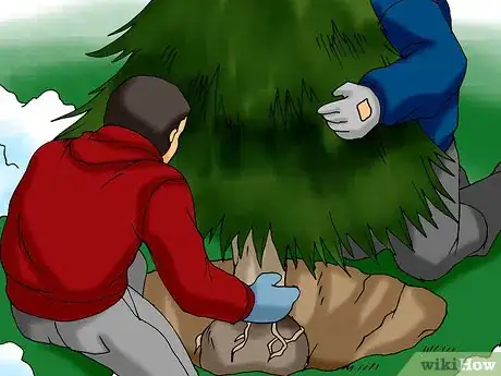 Image titled Plant a Living Christmas Tree Step 11