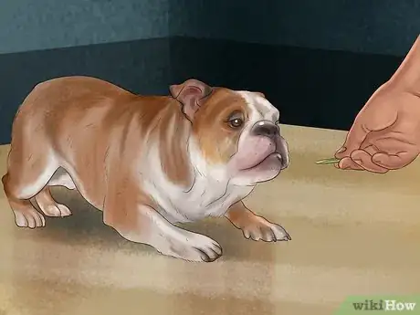 Image titled Be Patient with Your Puppy Step 11