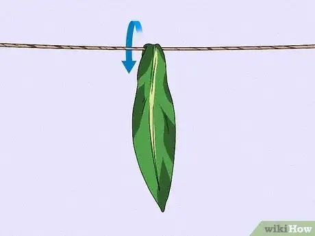 Image titled Make a Skirt from Ti Leaves Step 4