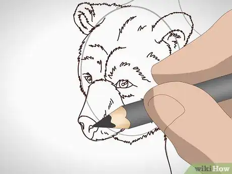 Image titled Draw a Grizzly Bear Step 10