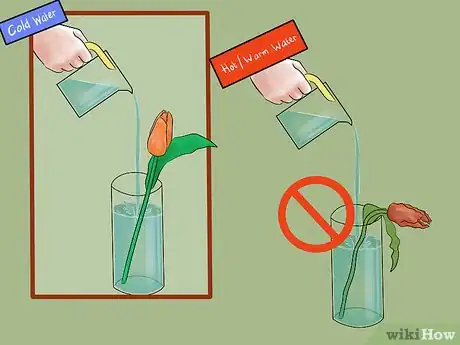 Image titled Care for Fresh Cut Tulips Step 7