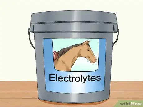 Image titled Feed Your Horse During Show Season Step 12