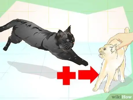 Image titled Care for an Overweight Cat Step 12