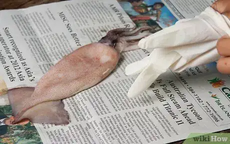 Image titled Clean and Prepare a Squid to Make Calamari Step 2