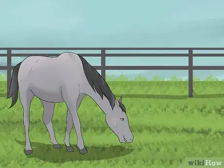 Image titled Maintain Horse Paddocks Step 11