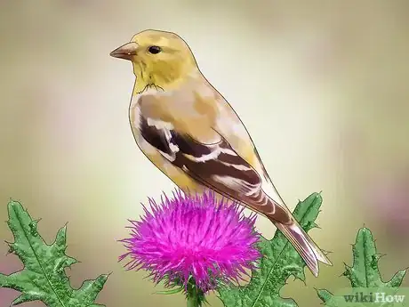 Image titled Root Out Thistles Step 17