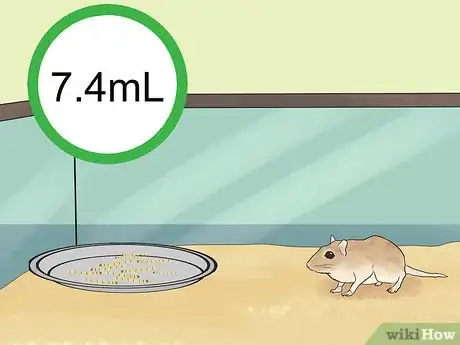 Image titled Care for a Shaw's Jird Step 11