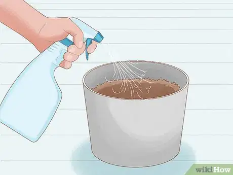 Image titled Grow Royal Gorilla Step 7