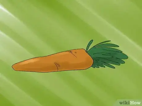 Image titled Train a Horse to Trailer Step 6