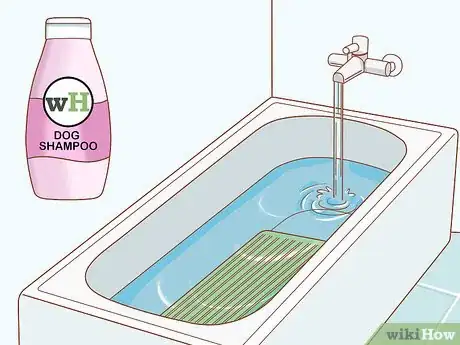 Image titled Groom a Wheaten Terrier Step 12