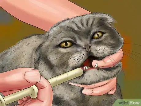 Image titled Give Selective Serotonin Reuptake Inhibitors to a Cat Step 13