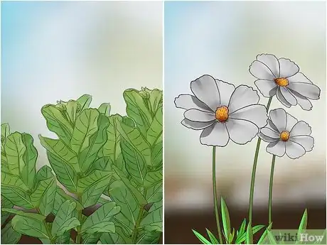 Image titled Attract Assassin Bugs Step 7