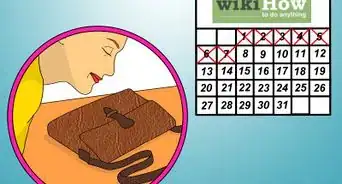 Remove Smell from an Old Leather Bag