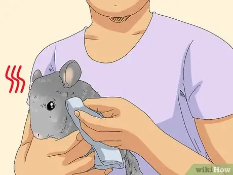 Image titled Manage Fur Slip in Chinchillas Step 6