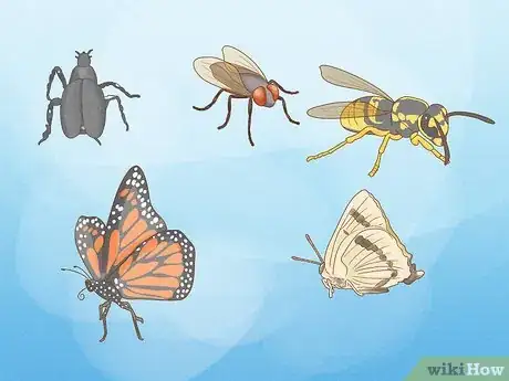 Image titled How Do Insects Help a Plant to Reproduce Step 4